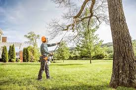 Crestline, OH Tree Removal and Landscaping Services Company